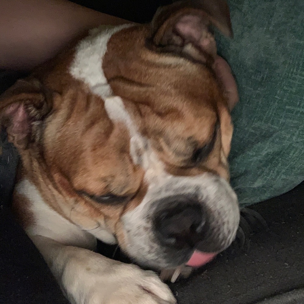 Meet your Posher, Kourtney